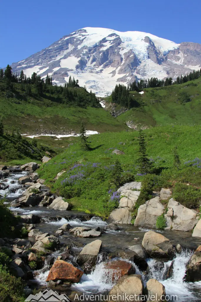 Paradise Mt. Rainier Hikes - Myrtle Falls and Edith Creek