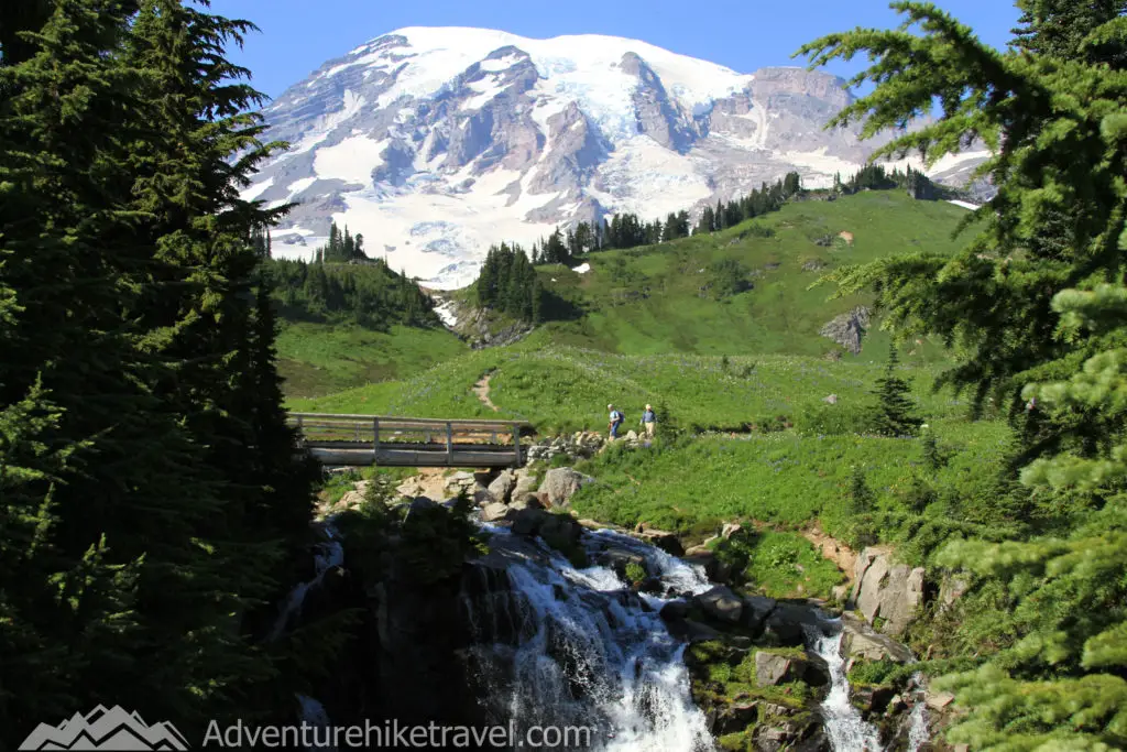 Paradise Mt. Rainier Hikes - Myrtle Falls and Edith Creek