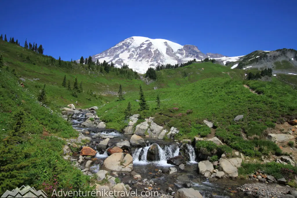 Paradise Mt. Rainier Hikes - Myrtle Falls and Edith Creek