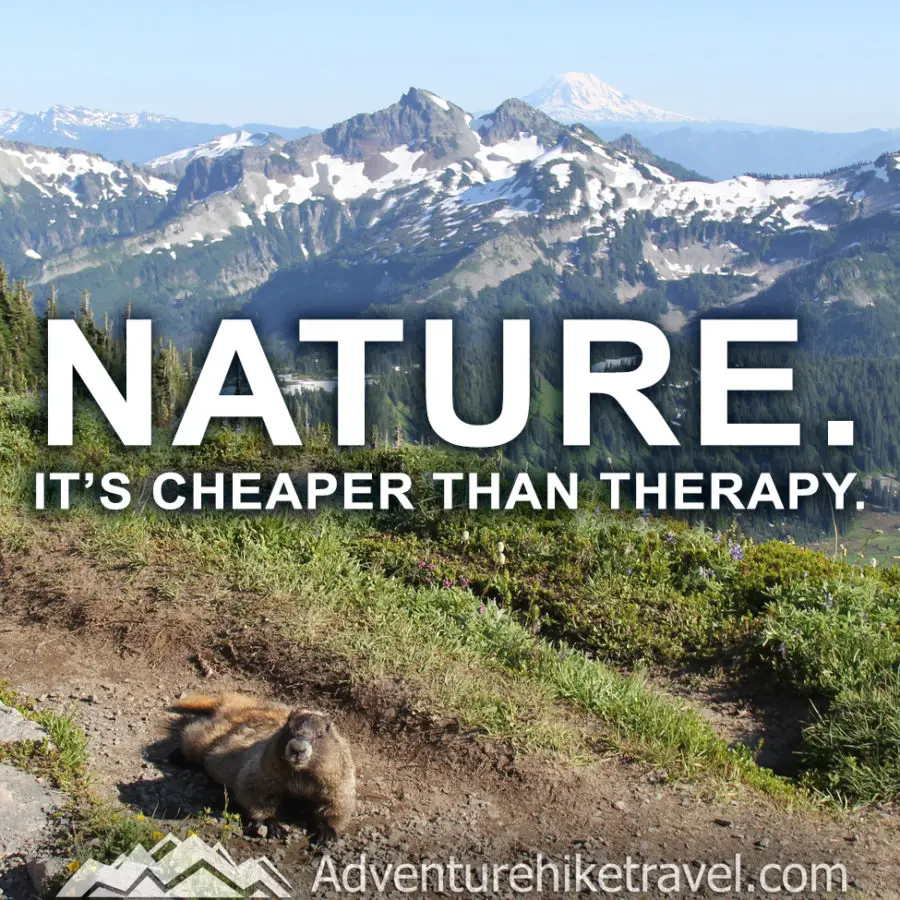 30 Inspirational Sayings and Quotes about Nature: Nature it’s cheaper than therapy.