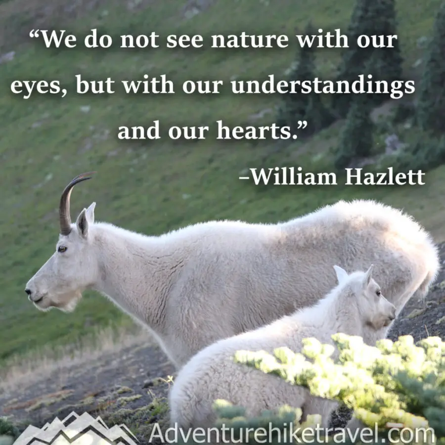 30 Inspirational Sayings and Quotes about Nature: “We do not see nature with our eyes, but with our understandings and our hearts.” ― William Hazlitt