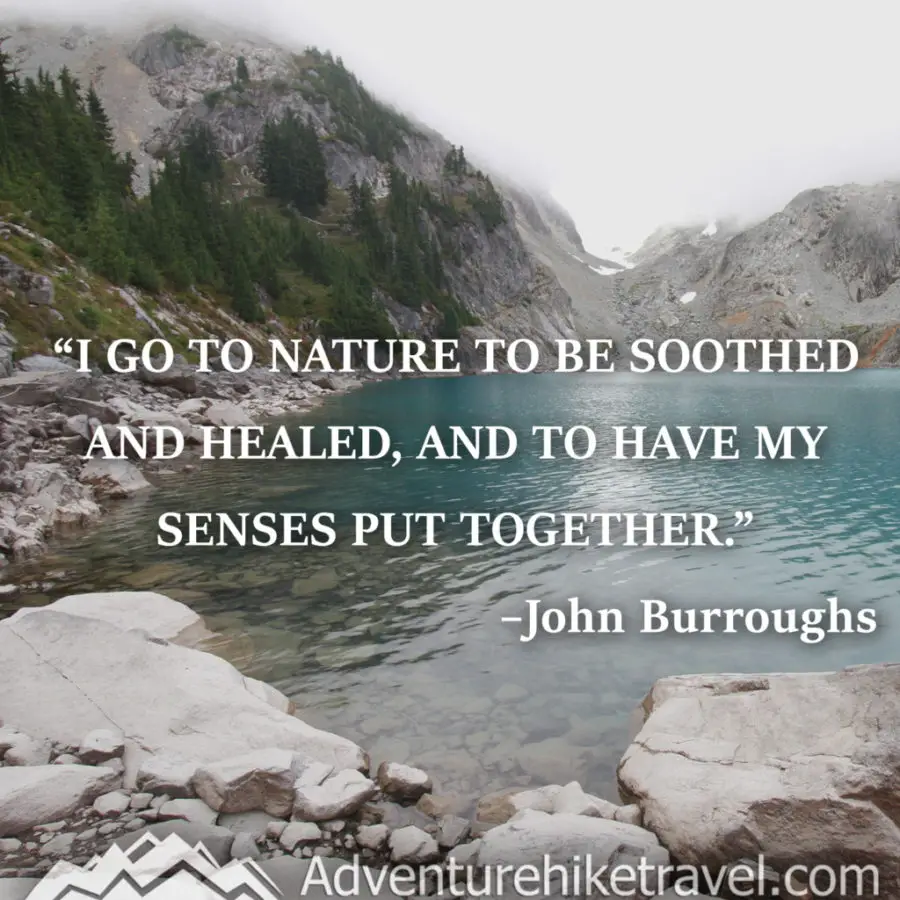 30 Inspirational Sayings and Quotes about Nature: “I go to nature to be soothed and healed, and to have my senses put in order.” ― John Burroughs