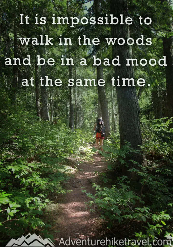25 Hiking Quotes To Inspire Your Next Daring Adventure - Adventure Hike ...