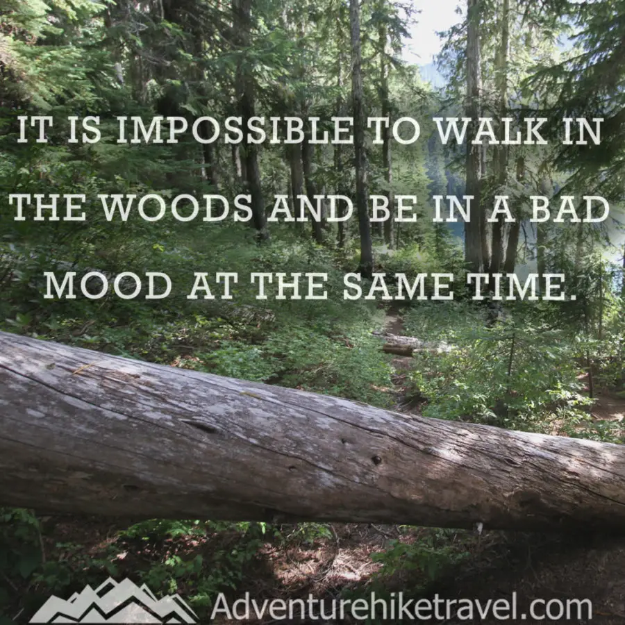 Adventure and Hiking Quotes It is impossible to walk in the woods and be in a bad mood at the same time.
