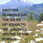 “Another glorious day, the air as delicious to the lungs as nectar to the tongue.” –John Muir