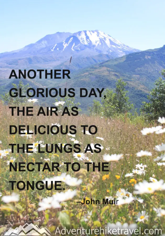 “Another glorious day, the air as delicious to the lungs as nectar to the tongue.” –John Muir