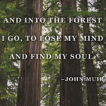 “And into the forest I go to lose my mind and find my soul.” –John Muir