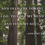 “And into the forest I go to lose my mind and find my soul.” –John Muir