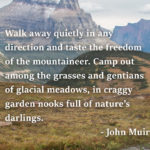 “Walk away quietly in any direction and taste the freedom of the mountaineer. Camp out among the grasses and gentians of glacial meadows, in craggy garden nooks full of nature’s darlings.” ― John Muir