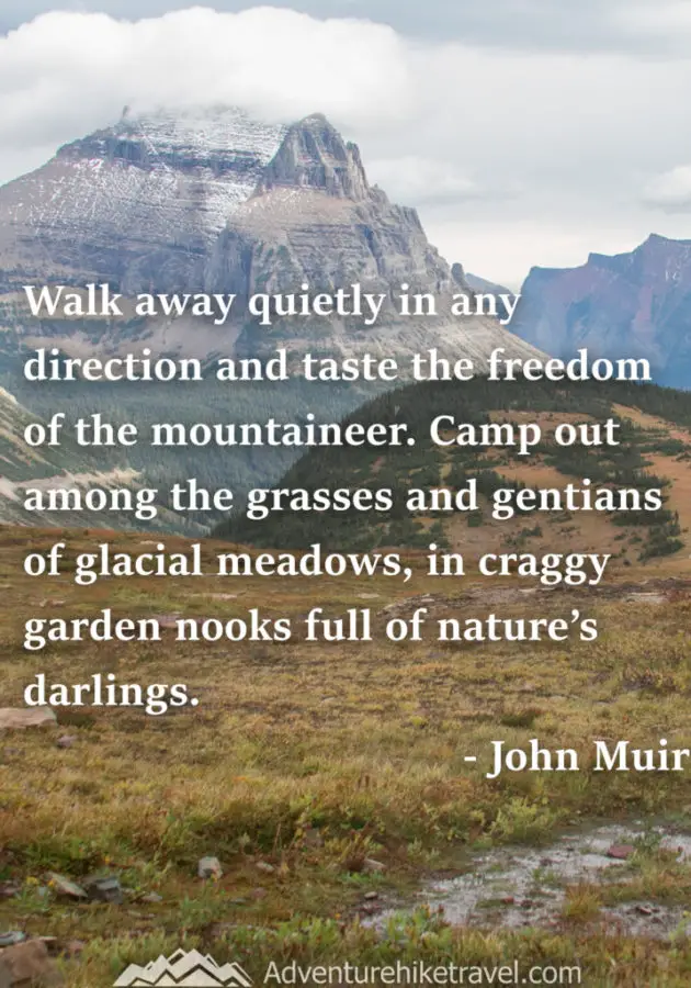 “Walk away quietly in any direction and taste the freedom of the mountaineer. Camp out among the grasses and gentians of glacial meadows, in craggy garden nooks full of nature’s darlings.” ― John Muir