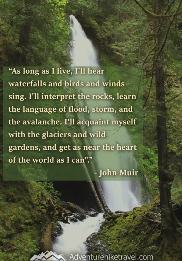 “As long as I live, I'll hear waterfalls and birds and winds sing. I'll interpret the rocks, learn the language of flood, storm, and the avalanche. I'll acquaint myself with the glaciers and wild gardens, and get as near the heart of the world as I can".” ― John Muir