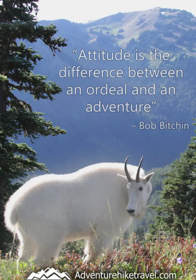 Hiking and Adventure Quotes and sayings: "Attitude is the difference between an ordeal and an adventure” – Bob Bitchin