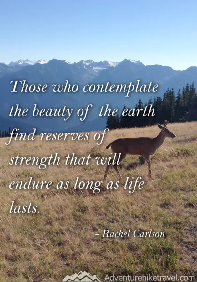 30 Inspirational Sayings and Quotes about Nature: “Those who contemplate the beauty of the earth find reserves of strength that will endure as long as life lasts." ― Rachel Carson