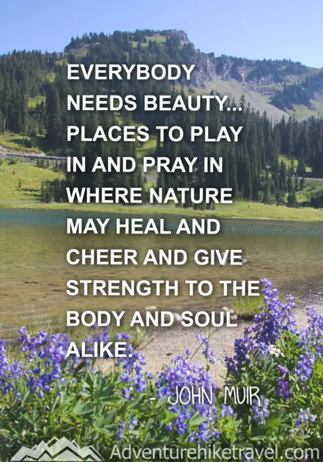 30 Inspirational Sayings and Quotes about Nature: “Everybody needs beauty...places to play in and pray in where nature may heal and cheer and give strength to the body and soul alike.” ― John Muir