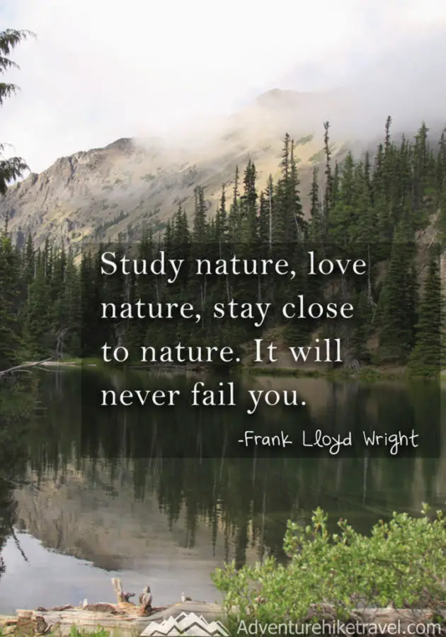 Hiking and Nature Quotes and sayings: "Study nature, love nature, stay close to nature. It will never fail you." -Frank Lloyd Wright