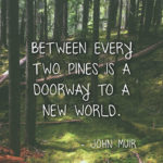 30 Inspirational Sayings and Quotes about Nature: “Between every two pines is a doorway to a new world.” ― John Muir