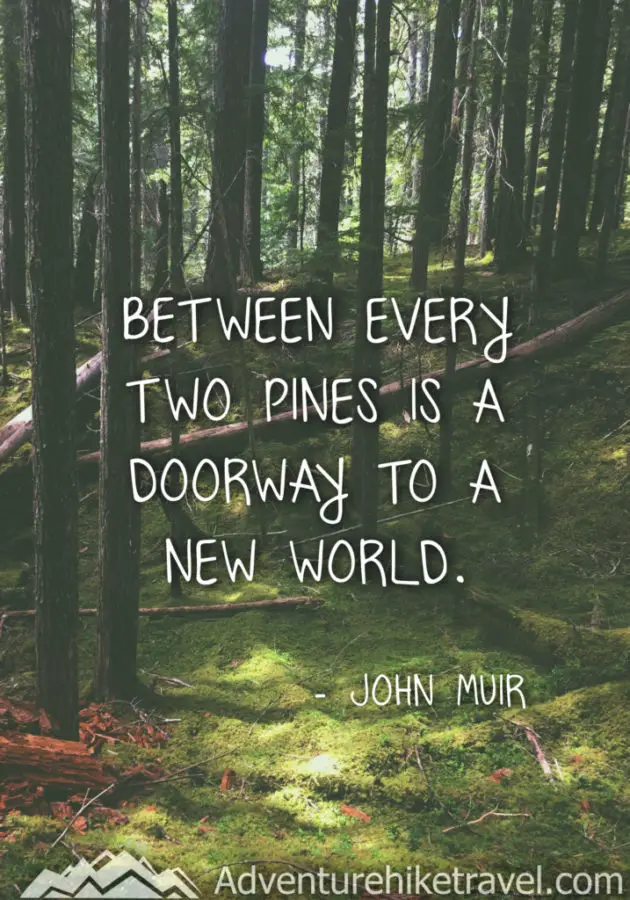 30 Inspirational Sayings and Quotes about Nature: “Between every two pines is a doorway to a new world.” ― John Muir