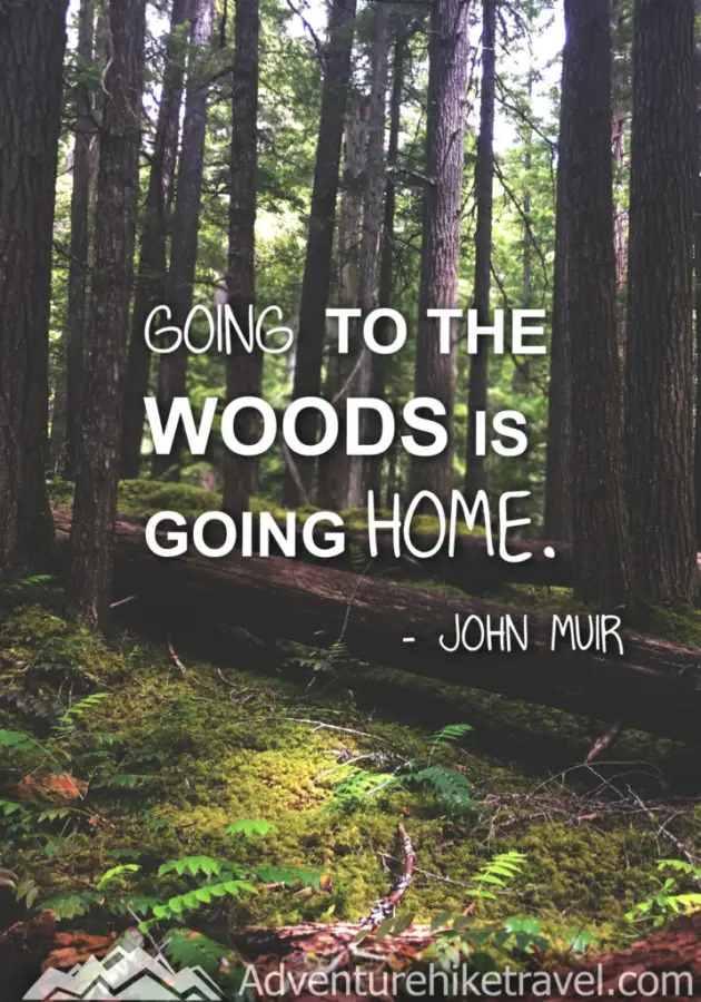 10 Inspiring Hiking Quotes To Get You Outdoors : “Going to the woods is going home.” ― John Muir