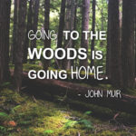 “Going to the woods is going home.” ― John Muir