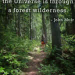 "The clearest way into the Universe is through a forest wilderness." - John Muir