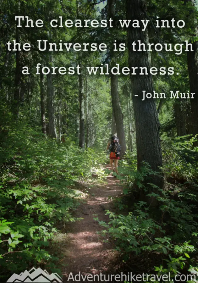 "The clearest way into the Universe is through a forest wilderness." - John Muir