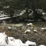 South Fork Snoqualmie River.