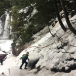 Franklin Falls Trail. No snowshoes are needed. The ground is extremely hard packed from the amount of foot traffic this popular hiking trail receives causing the path to become be very slick and icy. Some sections of the trail were especially dicey to get over. The worst spot was the narrow inclined decent down to the falls. There is a rope attached for people to grab onto on the way down but I still saw people slip and fall.