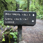 Easy Day Hikes in the Rainforest of Olympic National Park. Great hikes for kids in Washington state best family-friendly trails. Marymere Falls.