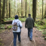 Hiking Olympic National Park