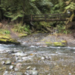 Barnes Creek Bridge. Marymere Falls best easy hikes in Washington State. Bridge over the Falls Creek - Barnes Creek