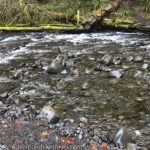 Barnes Creek is a small stream that flows into Crescent Lake. Marymere Falls Nature Trail Olympic National Park. Washington's best family-friendly trails.