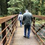 Barnes Creek Bridge. Barnes Creek is a small stream that flows into Crescent Lake. Marymere Falls Nature Trail Olympic National Park. Washington's best family-friendly trails.