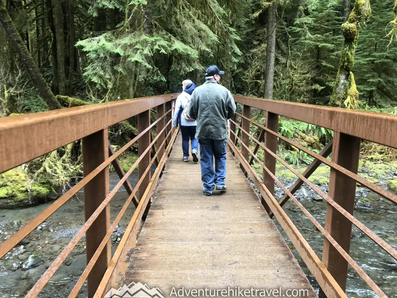 Barnes Creek Bridge. Barnes Creek is a small stream that flows into Crescent Lake. Marymere Falls Nature Trail Olympic National Park. Washington's best family-friendly trails.