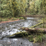 Barnes Creek Bridge. Barnes Creek is a small stream that flows into Crescent Lake. Marymere Falls Nature Trail Olympic National Park. Washington's best family-friendly trails.