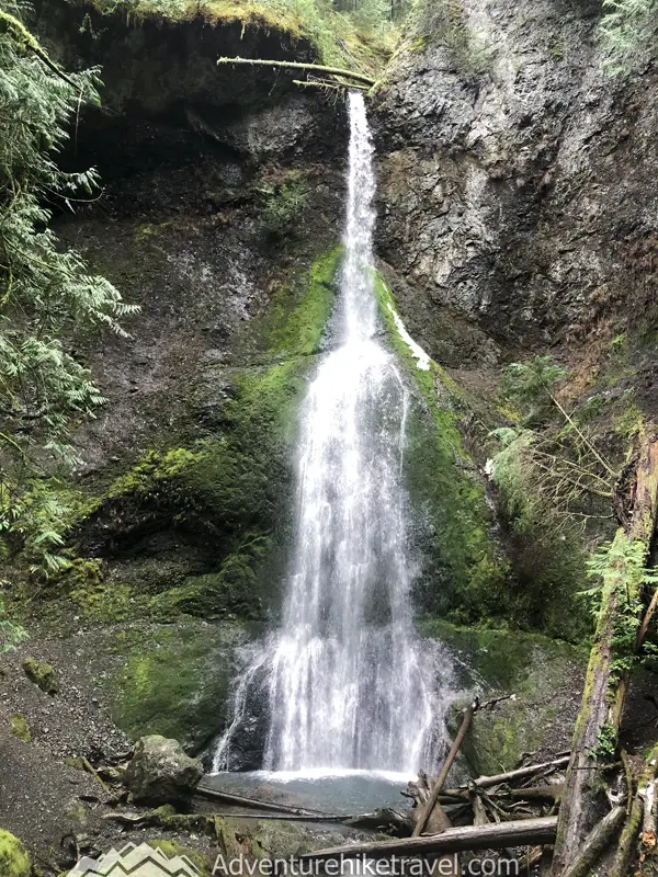 Great hikes for kids in Washington state best family-friendly trails. Marymere Falls, Olympic National Park