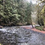 Barnes Creek Bridge. Barnes Creek is a small stream that flows into Crescent Lake. Marymere Falls Nature Trail Olympic National Park. Washington's best family-friendly trails.