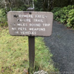 After parking at the Storm King Ranger Station, you can take a moment to walk out on the dock and see the crystal clear blue-green water of Lake Crescent. The Marymere Falls Nature Trail starts next to the historic Storm King Ranger Station, also known as the Storm King Guard Station, and Morgenroth Cabin built in 1905. Toward the beginning of the trail you will pass under highway 101 through a cool metal tunnel with a entrance of moss covered stones.