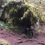 Mount Storm King Trail - Olympic National Park