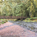 Bridge over Barnes Creek. Marymere Falls Nature Trail Olympic National Park.