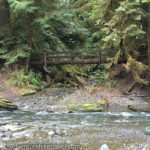 Bridge over the Falls Creek - Barnes Creek. Marymere Falls Nature Trail Olympic National Park.