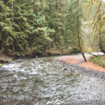 Barnes Creek. Marymere Falls Nature Trail Olympic National Park.