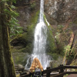 Marymere Falls best easy hikes in Washington State