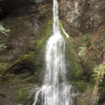 Hiking trails with waterfalls in Washington State. Marymere Falls, Olympic National Park