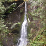 Marymere Falls, Olympic National Park Guide