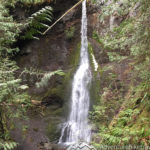 waterfall hikes near Seattle. Trails Everyone Needs to Hike Around Olympic National Park