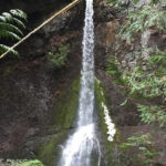 waterfall hikes near Seattle. Trails Everyone Needs to Hike Around Olympic National Park