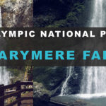 Marymere Falls - Easy Hike in Olympic National Park