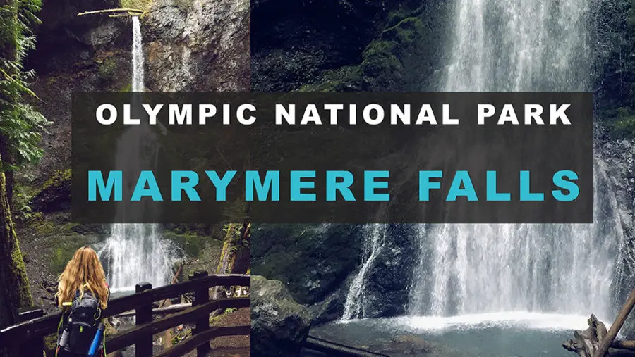 Marymere Falls - Easy Hike in Olympic National Park