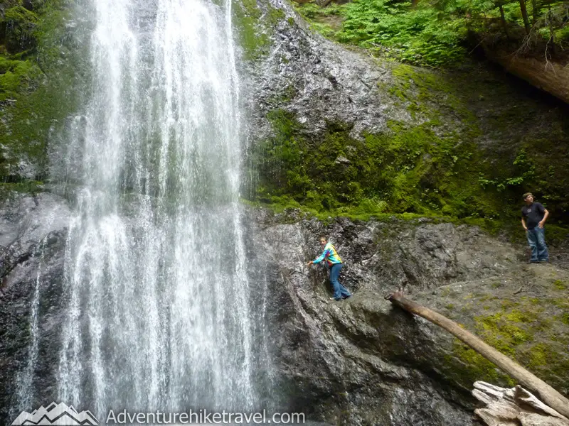 olympic national park trails