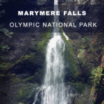 Marymere Falls best easy hikes in Washington State